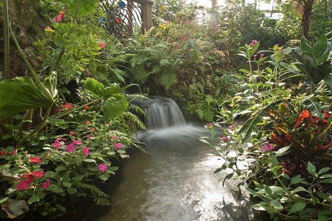 Butterfly Rainforest at Florida Museum of Natural History Ticket - Calusa Indian Welcoming Ceremony