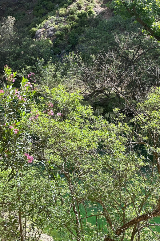 BUTTERFLY VALLEY - Key Points