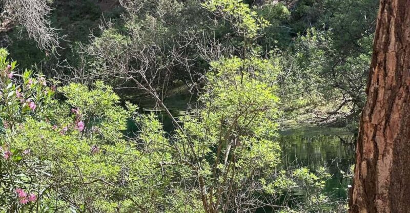 BUTTERFLY VALLEY - Experience Highlights