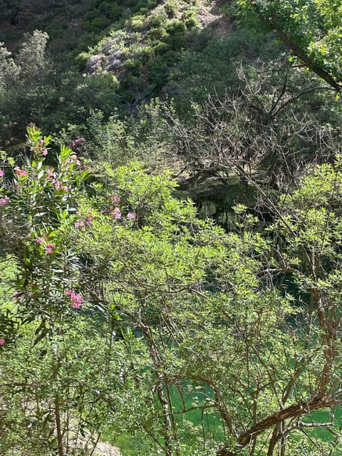 BUTTERFLY VALLEY - Accessibility and Transportation