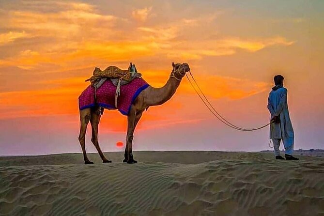 Buy 1 Get 1 Free Desert Safari With Dinner - Important Notes to Consider