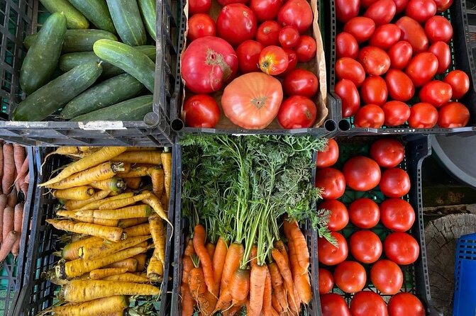 Buy, Cook & Taste-Gastronomic Tour North Portugal - Visiting the Organic Farm Shop
