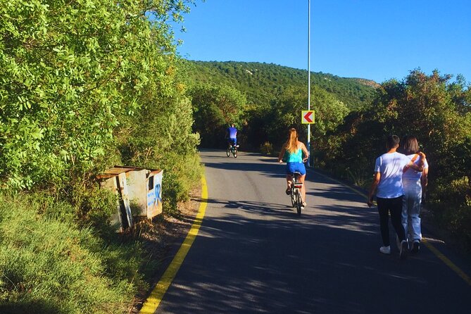 Buyukada E-Bike Tour With Local Tour Guide - Accessibility and Recommendations