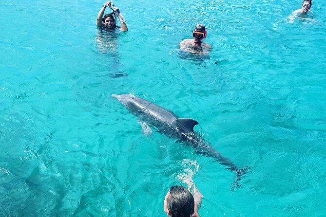 BVI Private Sailing Charter to Jost Van Dyke - Inclusions and Amenities