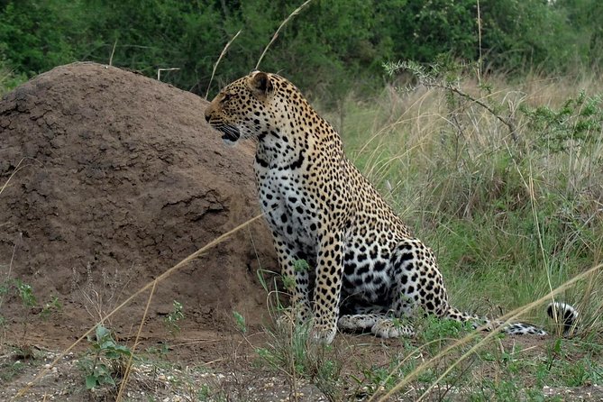 Bwindi Impenetrable Kenya Tanzania Gorilla Safari 14 Days 13 Nights - Inclusions