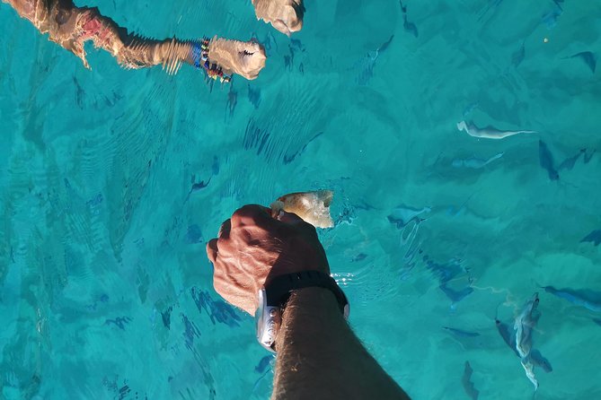 By Boat Between the Sea and the Most Beautiful Beaches! Capo Vaticano - Tropea - Briatico - Weather and Minimum Traveler Requirements