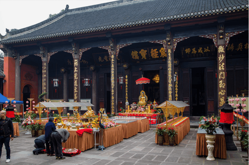 By Bullet Train From Chongqing to Chengdu Panda City Tour - Important Information