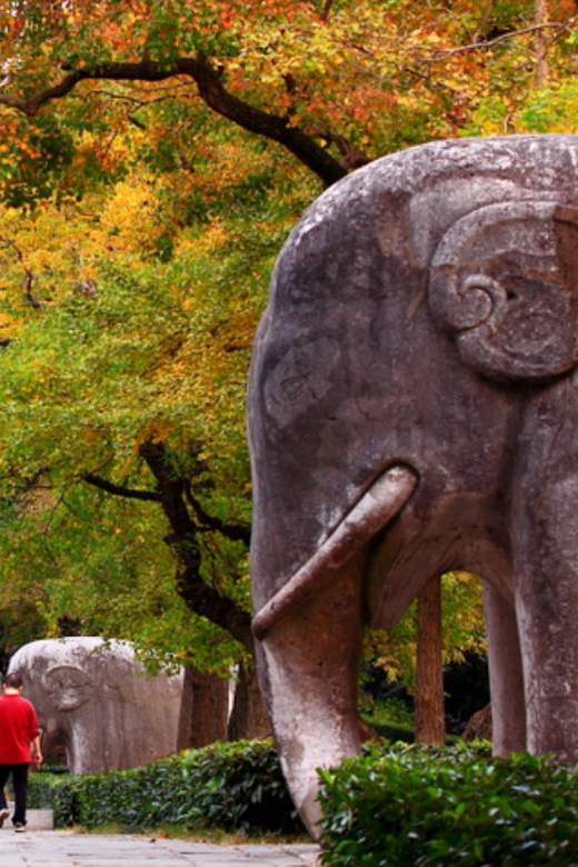 By Round Way Bullet Train From Shanghai to Nanjing City Tour - Itinerary Highlights