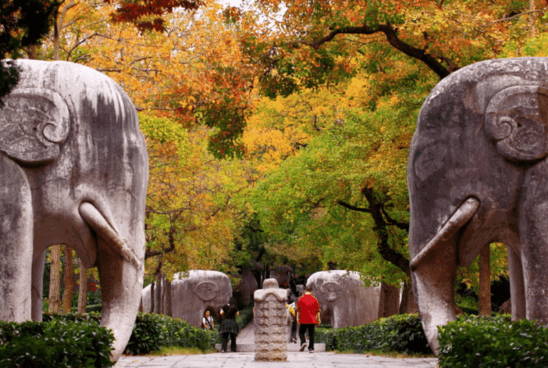 By Round Way Bullet Train From Shanghai to Nanjing City Tour - Transportation Details
