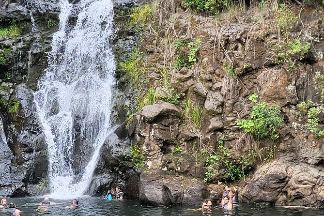 Byodo Temple and Waimea Botanical Garden Tour - Reviews and Experiences