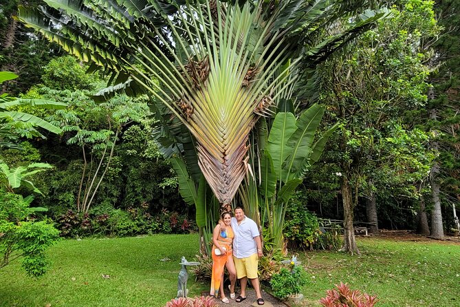 Byodo Temple and Waimea Botanical Garden Tour - Exploring Waimea Botanical Garden