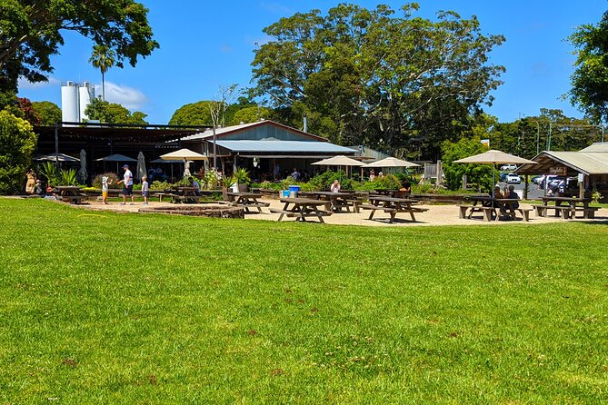Byron Bay, Bangalow and Gold Coast Day Tour From Brisbane - Byron Bay Highlights