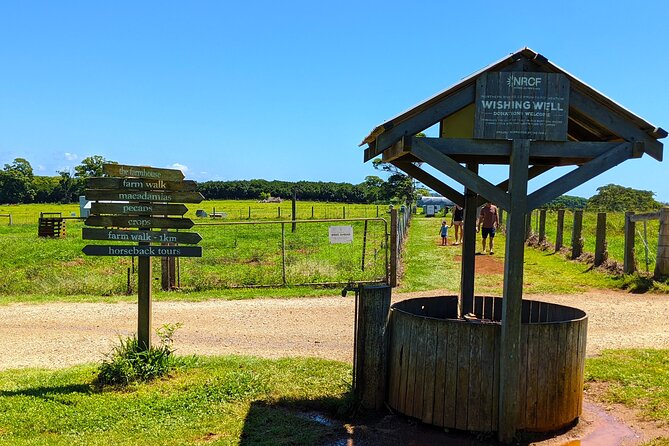Byron Bay, Bangalow and Gold Coast Day Tour From Brisbane - Bangalow Highlights