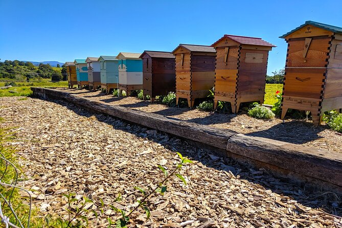 Byron Bay, Bangalow and Gold Coast Day Tour From Brisbane - Additional Information