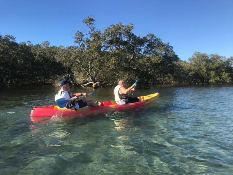 Byron Bay: Brunswick River Scenic Kayak Tour - Key Points