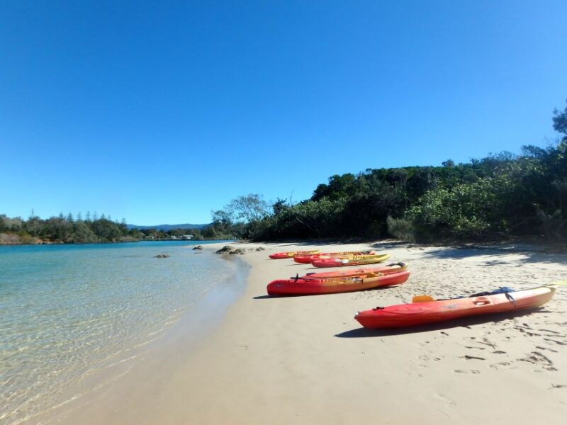 Byron Bay: Brunswick River Scenic Kayak Tour - Highlights of the Experience