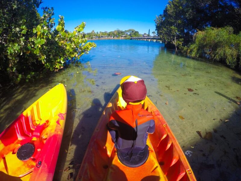 Byron Bay: Brunswick River Scenic Kayak Tour - Detailed Itinerary