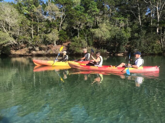 Byron Bay: Brunswick River Scenic Kayak Tour - Accessibility and Recommendations