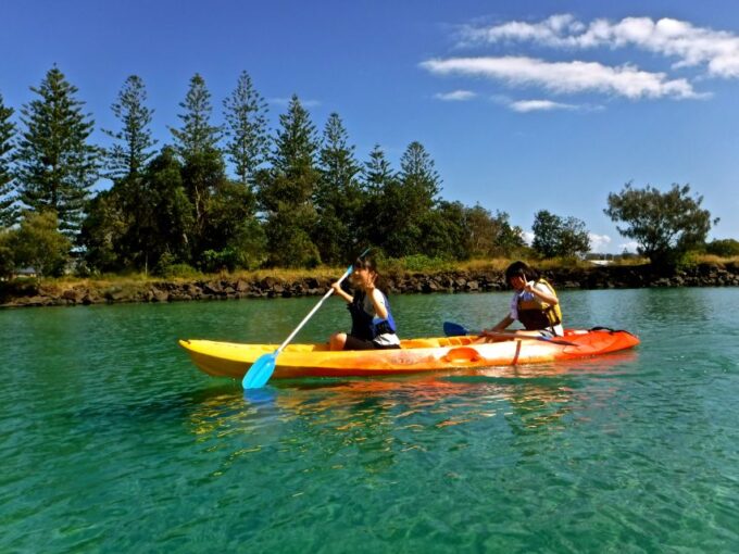 Byron Bay: Brunswick River Scenic Kayak Tour - Scenic Landscape and Wildlife