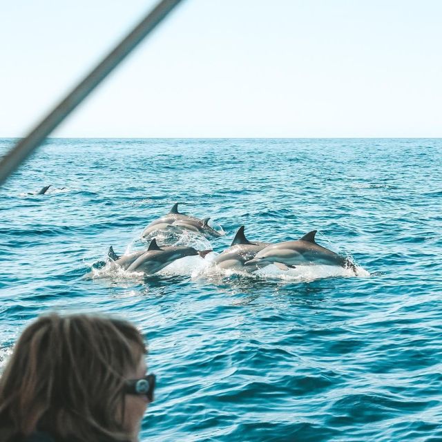 Byron Bay: Cruise With Dolphins Tour - Key Points