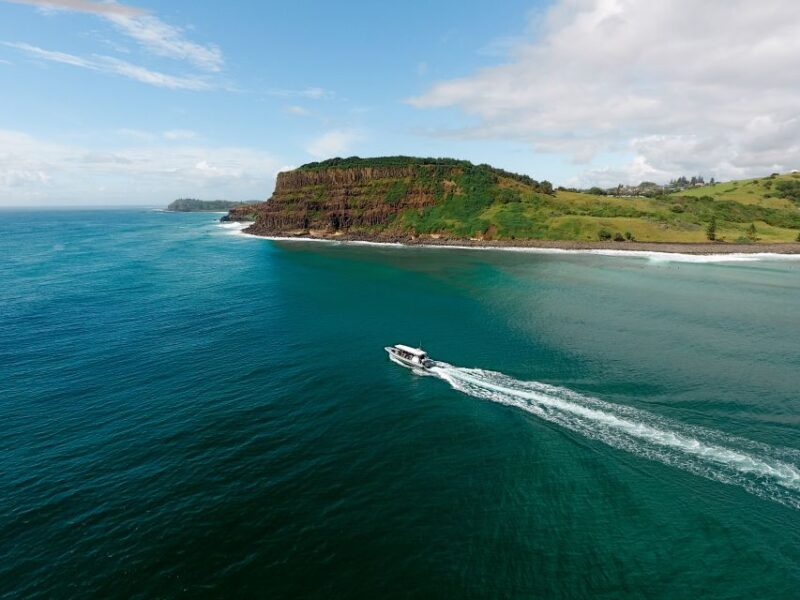 Byron Bay: Cruise With Dolphins Tour - Itinerary