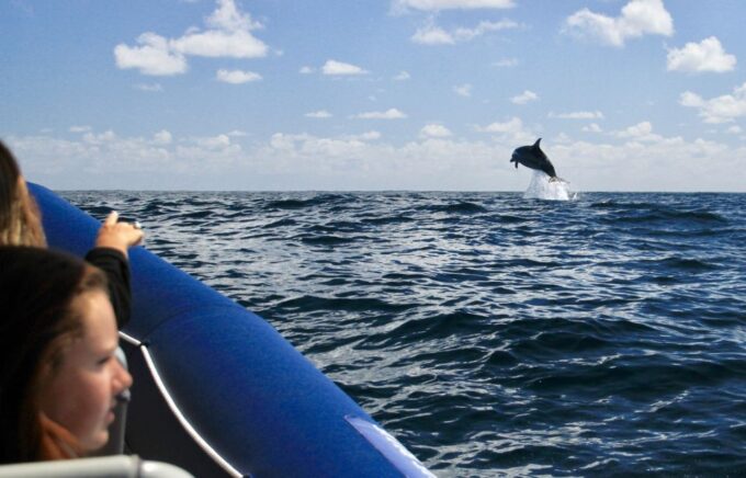Byron Bay: Cruise With Dolphins Tour - Recap