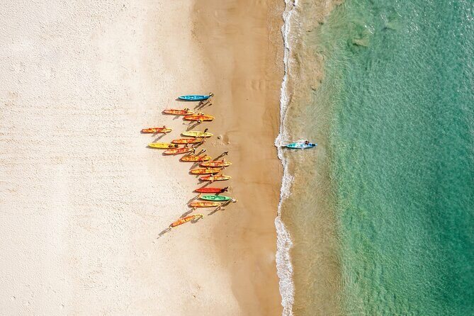 Byron Bay Discovery Day from Gold Coast - An In-Depth Look at the Byron Bay Discovery Day Tour