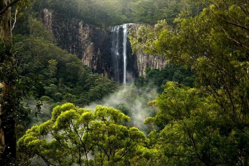 Byron Bay: Glowworms, Waterfalls & Rainforest Experience - Practical Tips for Participants