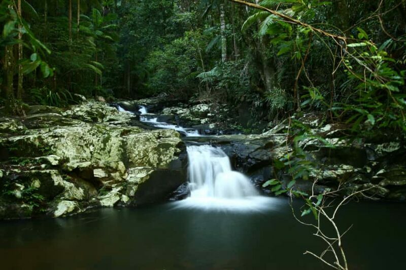 Byron Bay: Glowworms, Waterfalls & Rainforest Experience - FAQ