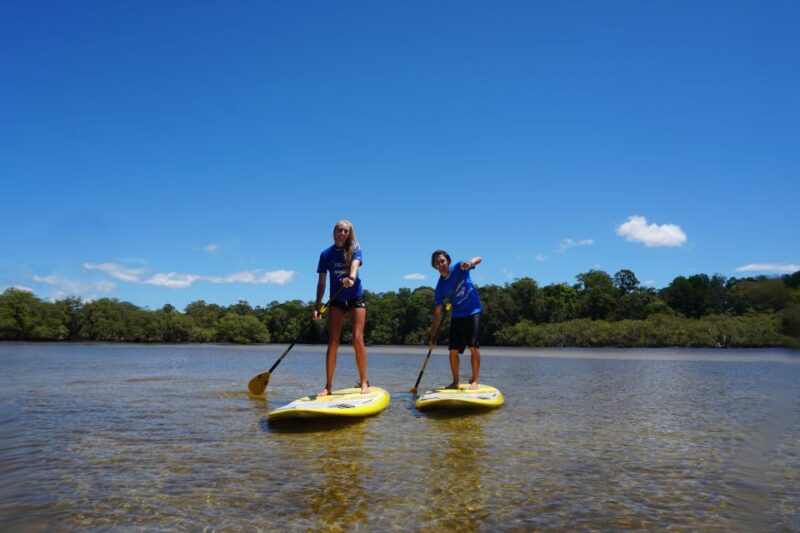 Byron Bay: Group 2.5 Hour Stand-Up Paddle Board Tour - Experience Highlights