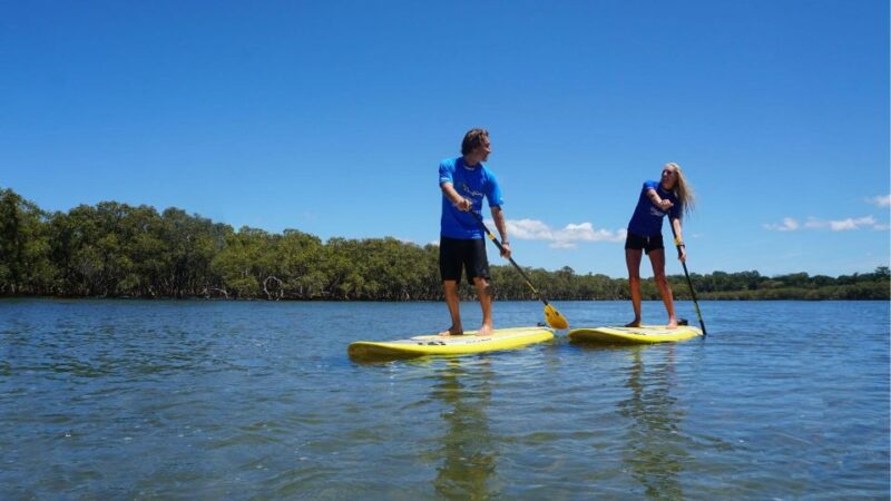 Byron Bay: Group 2.5 Hour Stand-Up Paddle Board Tour - Spotting Marine Life