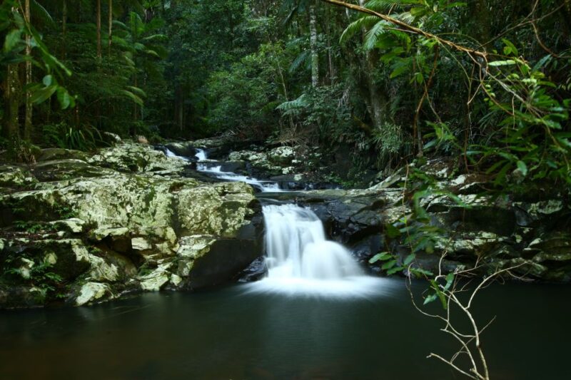 Byron Bay: Hinterland Magic and Glow-Worm Experience - Customer Reviews and Ratings