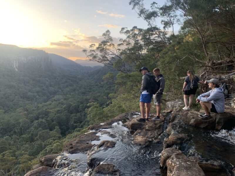 Byron Bay: Hinterland Magic and Glow-Worm Experience - Scenic Drive Through Hinterland