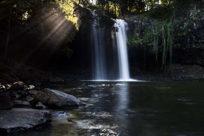 Byron Bay: Hinterland Magic and Glow-Worm Experience - Guided Tour at Nightcap National Park