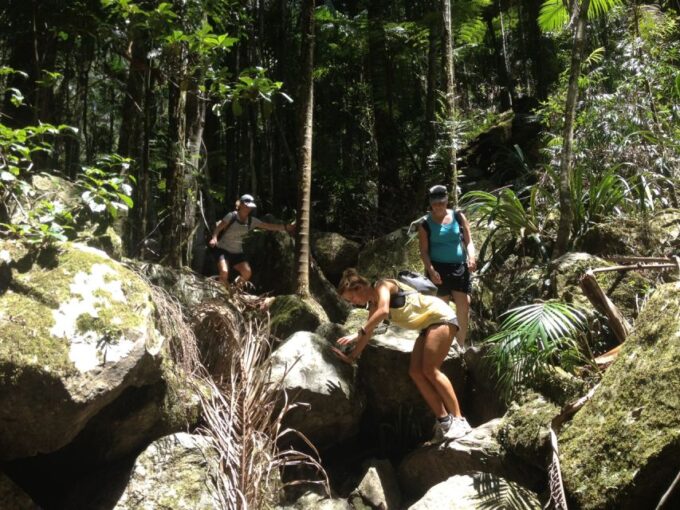 Byron Bay Hinterland: National Park and Waterfalls Tour - Tour Inclusions