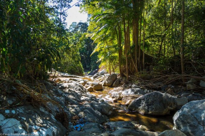 Byron Bay Hinterland: National Park and Waterfalls Tour - Timing and Meeting