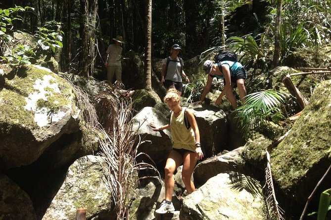Byron Bay Hinterland Tour Including Rainforest Walk to Minyon Falls - Rainforest Walk to Minyon Falls