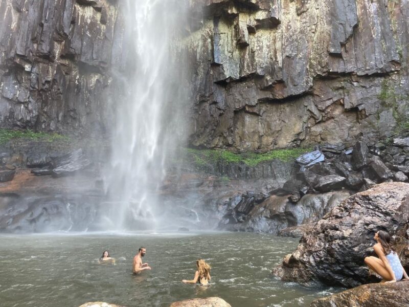 Byron Bay: Minyon Falls - Explore the Rainforest - Minyon Falls Swim