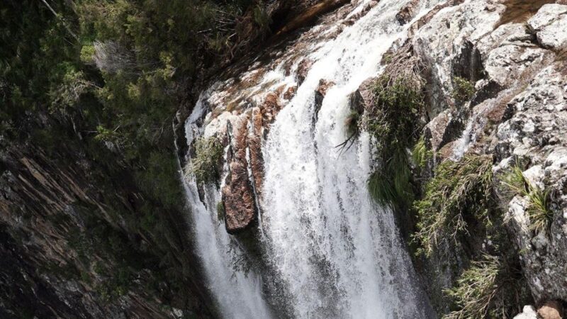 Byron Bay: Minyon Falls - Explore the Rainforest - Hike to Lookout