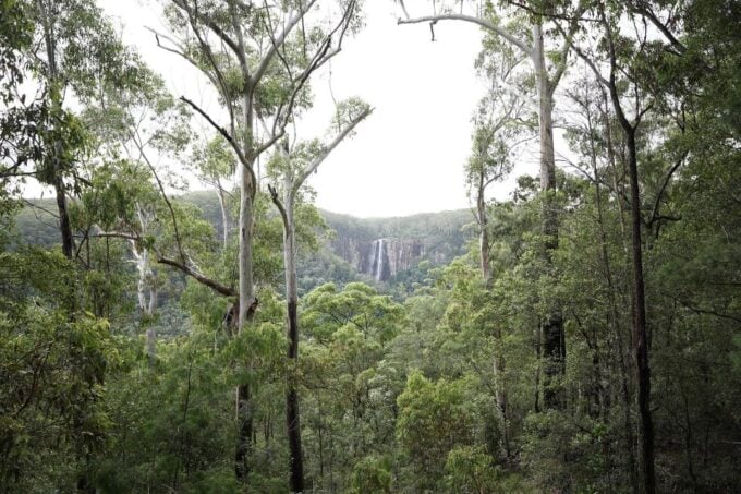 Byron Bay: Minyon Falls - Explore the Rainforest - Frequently Asked Questions