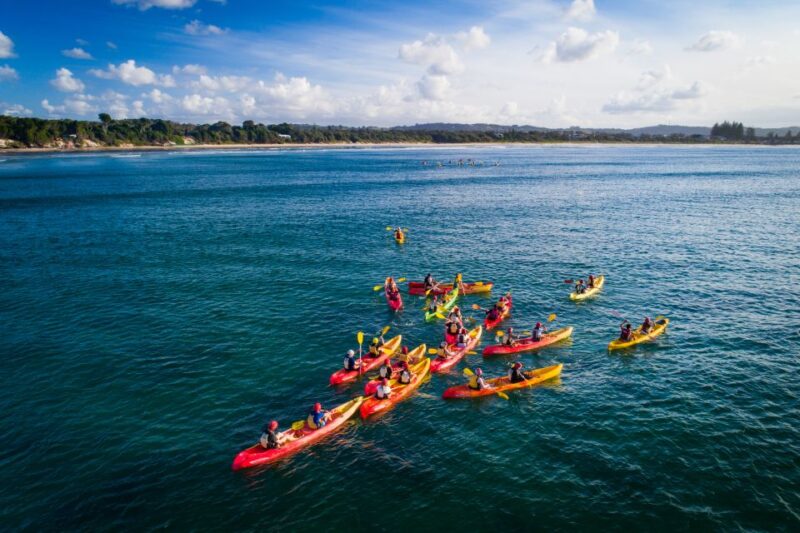 Byron Bay: Sea Kayak Tour With Dolphins and Turtles - Customer Feedback