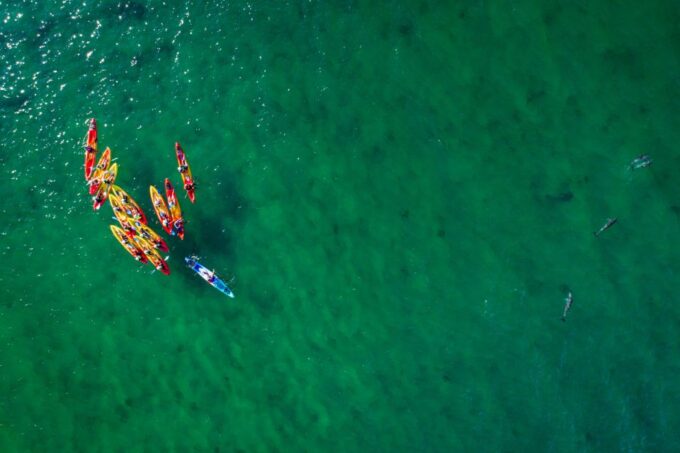 Byron Bay: Sea Kayak Tour With Dolphins and Turtles - Memorable Moments and Repeat Tours