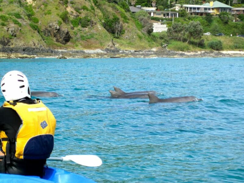 Byron Bay: The Byron Bay Sea Kayak Tour - A Closer Look at the Byron Bay Sea Kayak Tour