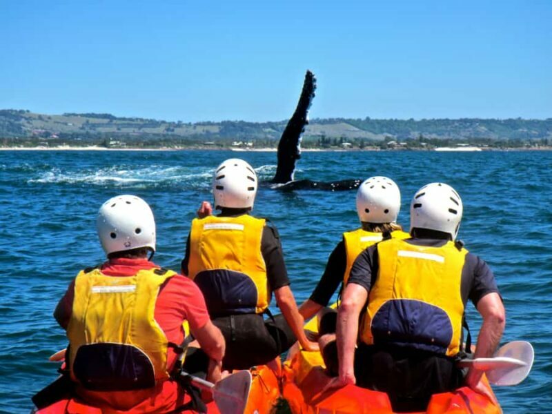 Byron Bay: The Byron Bay Sea Kayak Tour - FAQs