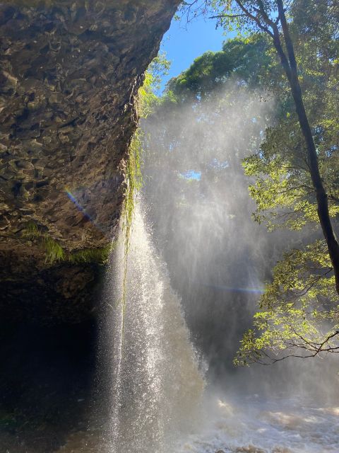 Byron Bay: Waterfalls and Hidden Gems Day Tour - Key Points