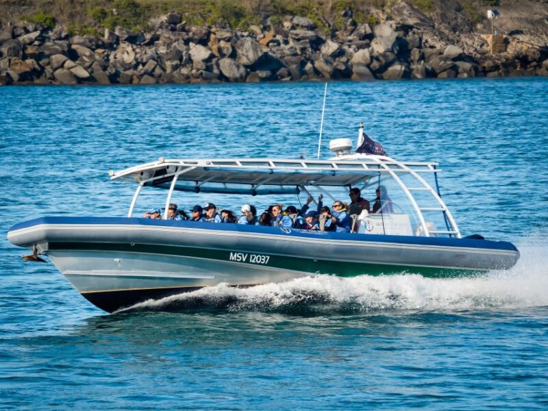 Byron Bay: Whale Watching Cruise With a Marine Biologist - Underwater Whale Song Listening