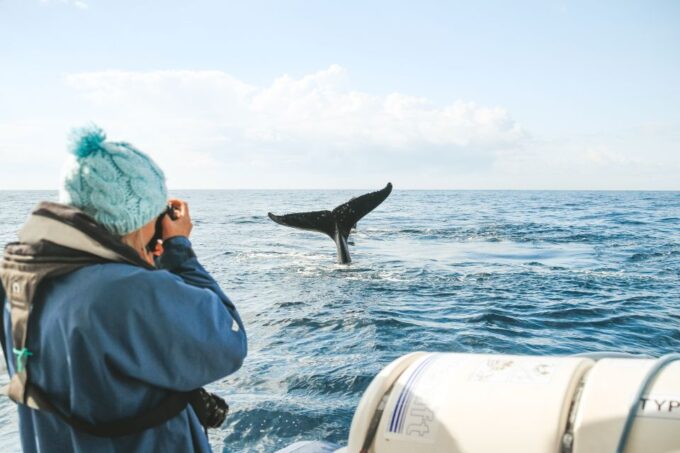 Byron Bay: Whale Watching Cruise With a Marine Biologist - Vessel and Amenities