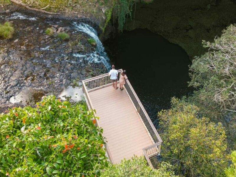 Byron Bay: Wildlife and Waterfall Tour with Breakfast - FAQ