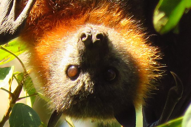 Byron Bay Wildlife Safari - Picturesque Locations