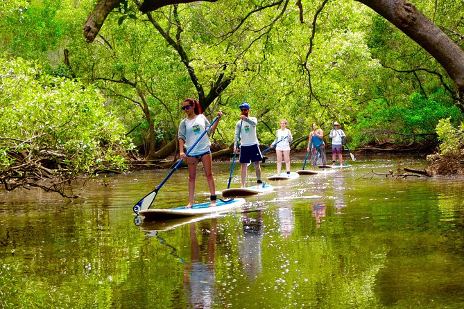 Byron Stand Up Paddle Nature Tour - Whats Included in the Experience